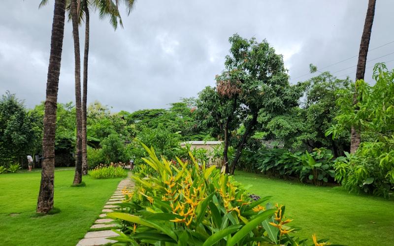 The Ultimate Guide to AI-Assisted Backyard & Landscape Design